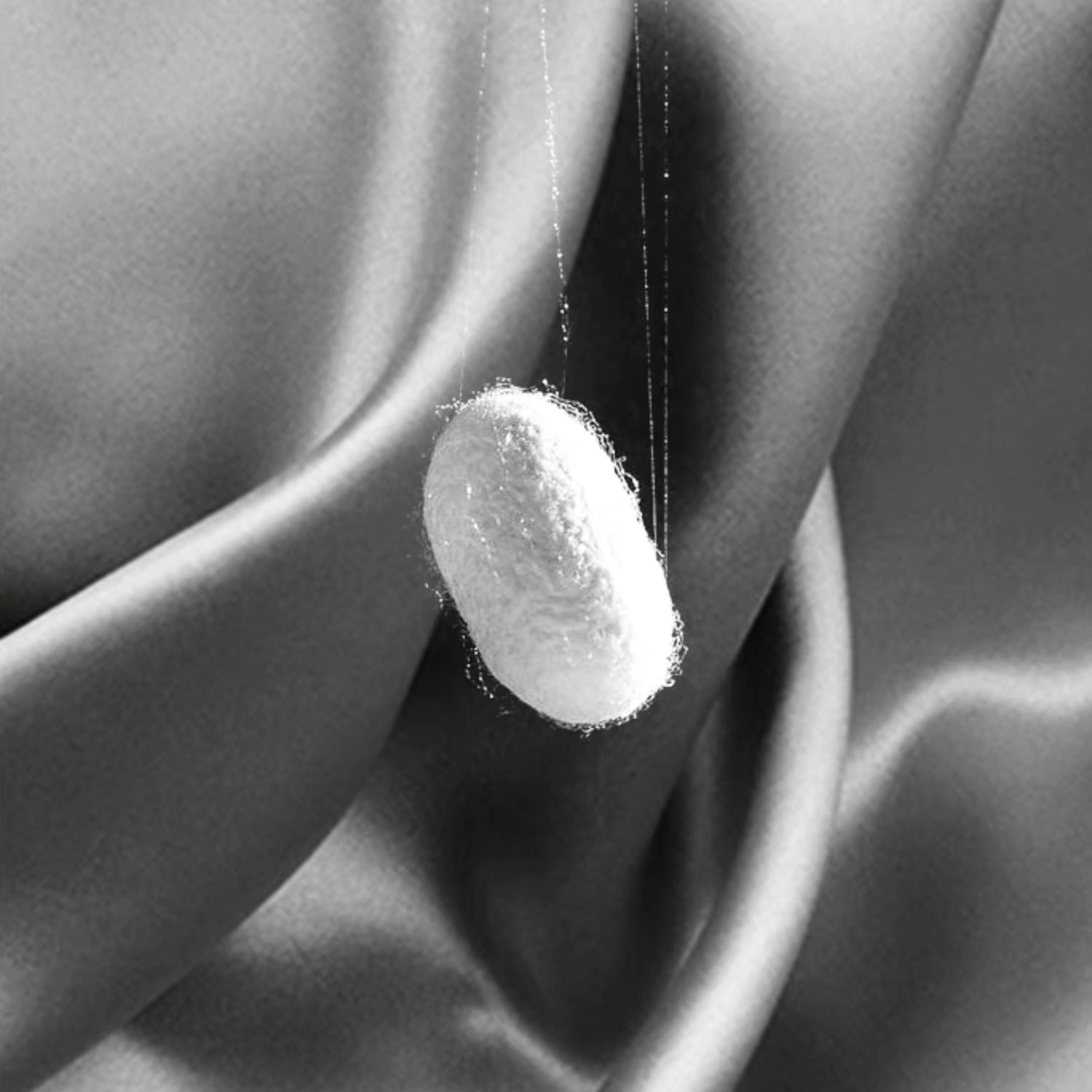 silk-zijde-soie-seide