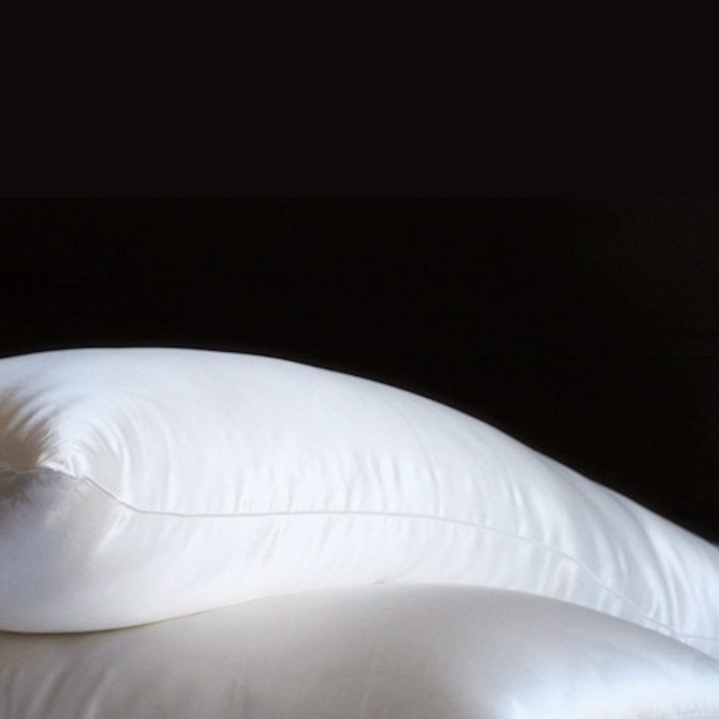 Zijden hoofdkussen met zijden tijk